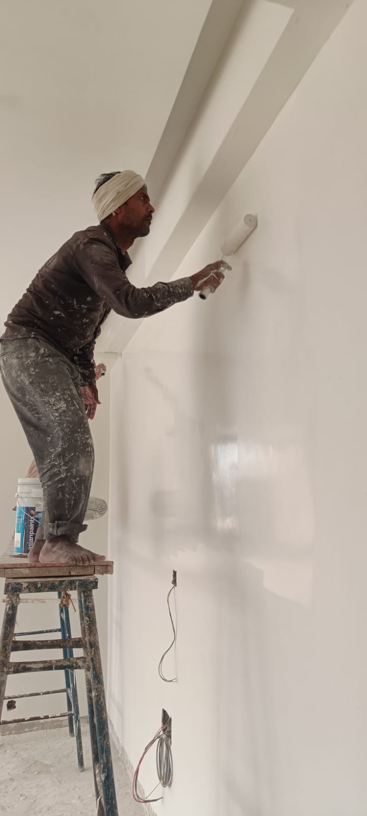 Professional Painting